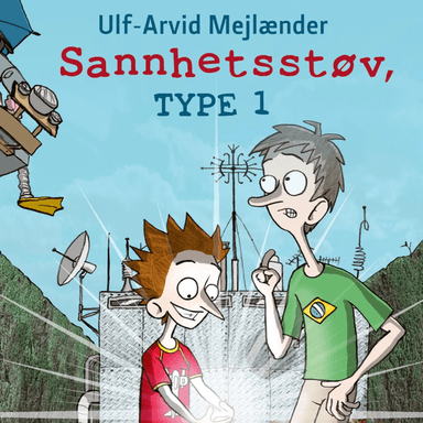Sannhetsstøv, type 1 av Ulf-Arvid Mejlænder