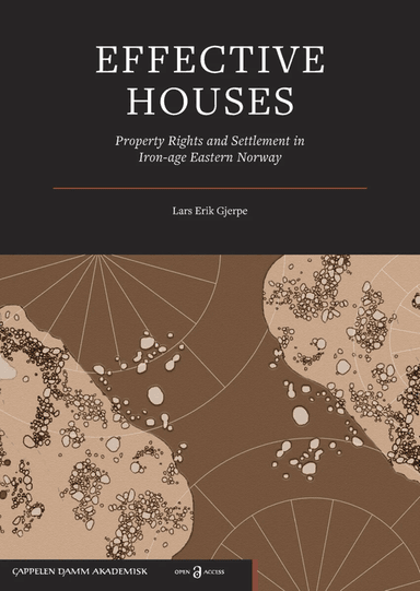 Effective houses av Lars Erik Gjerpe