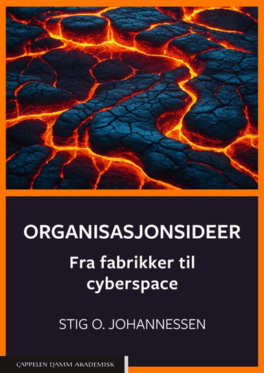 Organisasjonsideer av Stig Ole Johannessen