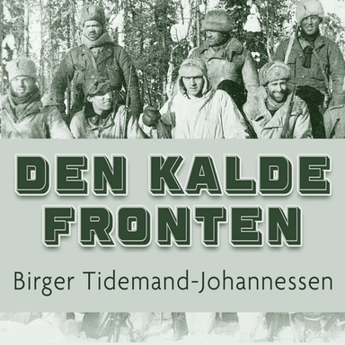 Den kalde fronten av Birger Tidemand-Johannessen