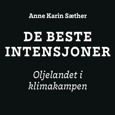 De beste intensjoner av Anne Karin Sæther