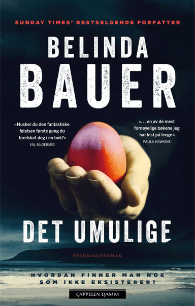 Det umulige av Belinda Bauer