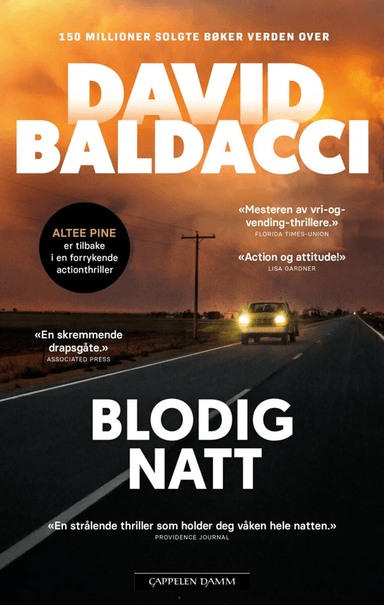 Blodig natt av David Baldacci