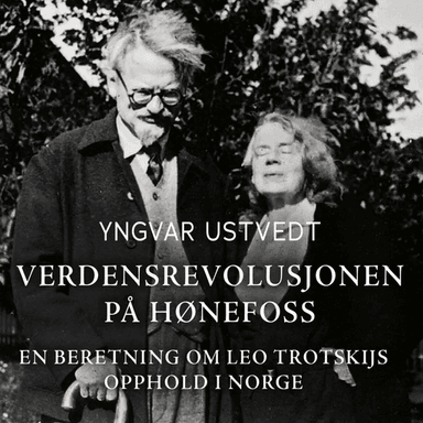 Verdensrevolusjonen på Hønefoss av Yngvar Ustvedt