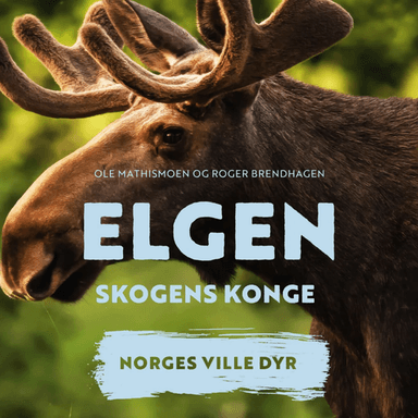 Elgen av Ole Mathismoen