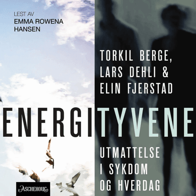 Energityvene av Torkil Berge, Lars Dehli, Elin Fjerstad