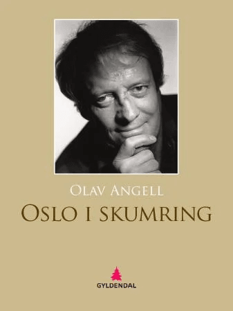 Oslo i skumring av Olav Angell