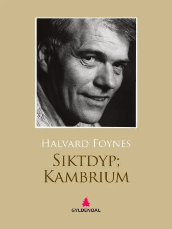 Siktdyp  kambrium av Halvard Foynes