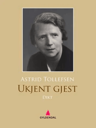 Ukjent gjest av Astrid Tollefsen