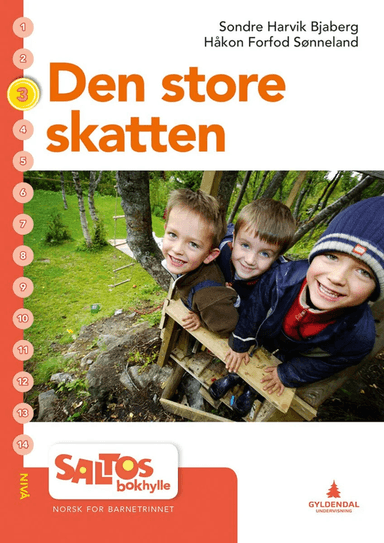 Den store skatten av Sondre Harvik Bjaberg, Håkon Forfod Sønneland