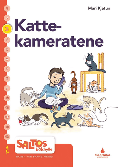 Kattekameratene av Mari Kjetun