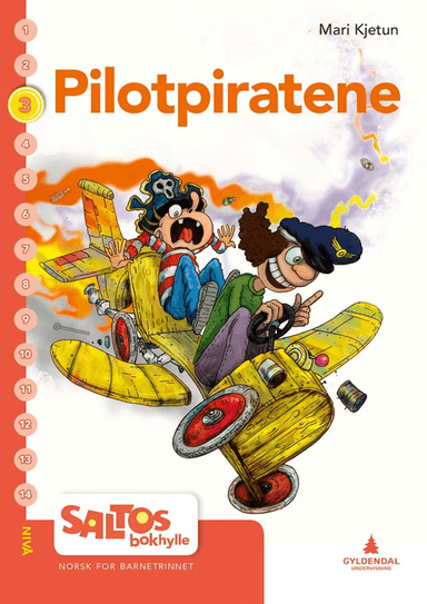 Pilotpiratene av Mari Kjetun