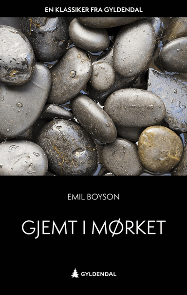 Gjemt i mørket av Emil Boyson