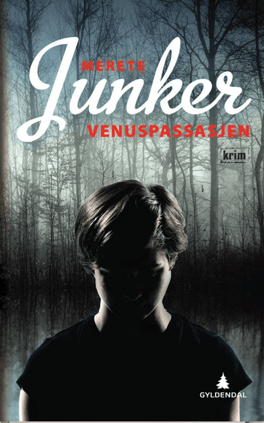 Venuspassasjen av Merete Junker