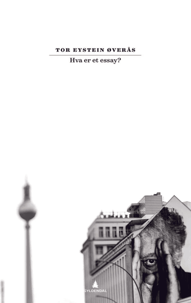 Hva er et essay? av Tor Eystein Øverås