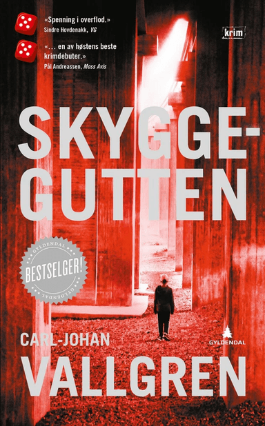 Skyggegutten av Carl-Johan Vallgren