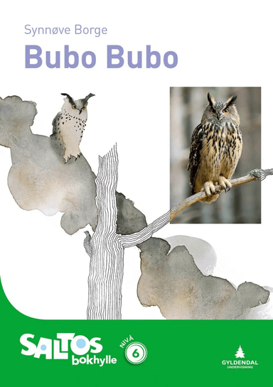 Bubo bubo av Synnøve Borge