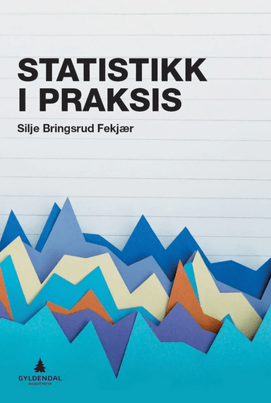 Statistikk i praksis av Silje Bringsrud Fekjær