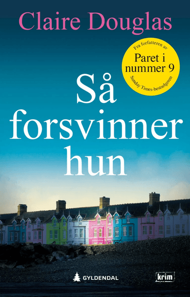 Så forsvinner hun av Claire Douglas