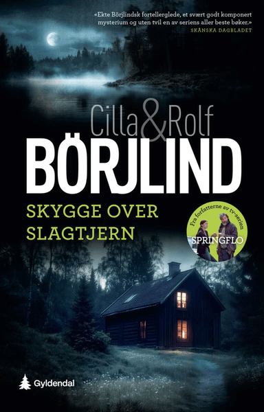 Skygge over Slagtjern av Cilla Börjlind, Rolf Börjlind