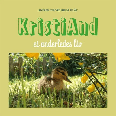 KristiAnd av Sigrid Thorsheim Flåt