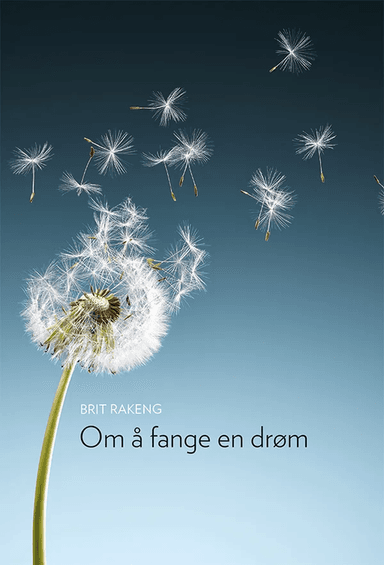 Om å fange en drøm av Brit Rakeng