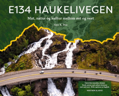 E134 Haukelivegen av Geir K. Hus