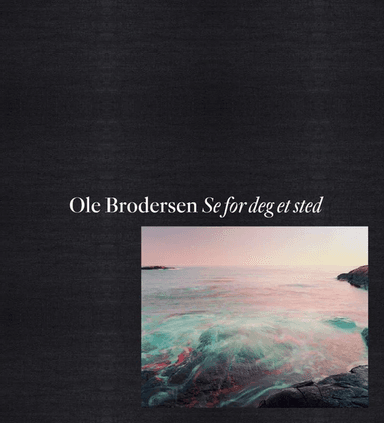 Se for deg et sted av Ole Brodersen, Johan Harstad, Håkon Haugland, Dag O. Hessen, Simen Tveitereid