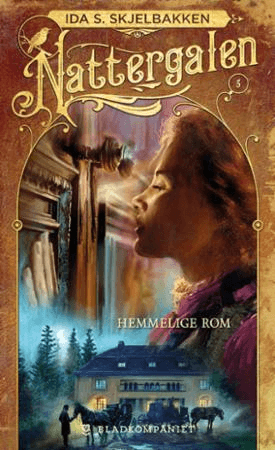 Hemmelige rom av Ida S. Skjelbakken