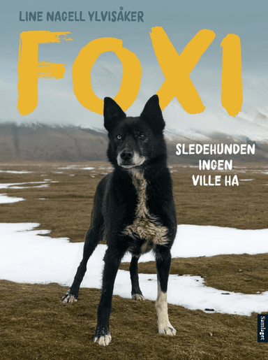 Foxi av Line Nagell Ylvisåker