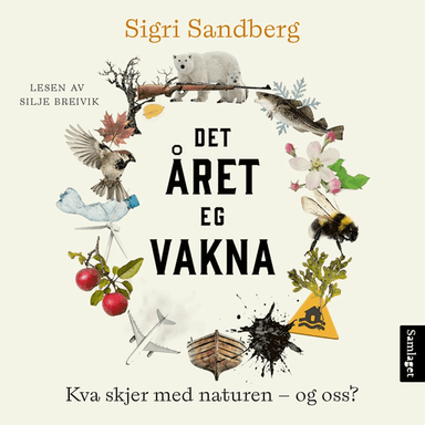 Det året eg vakna av Sigri Sandberg