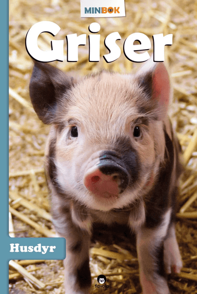 Griser av Kari Hansen