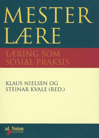 Mesterlære av Steinar Kvale, Klaus Nielsen
