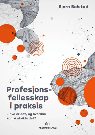 Profesjonsfellesskap i praksis av Bjørn Bolstad