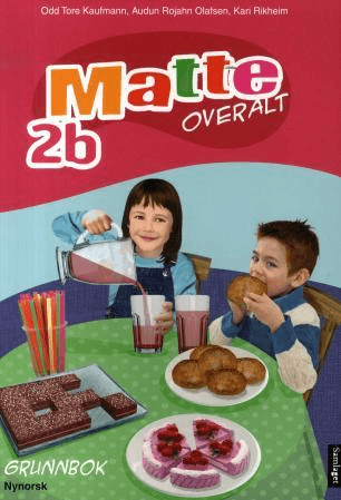 Matte overalt 2b av Odd Tore Kaufmann, Audun Rojahn Olafsen, Kari Rikheim