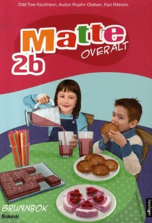 Matte overalt 2b av Odd Tore Kaufmann, Audun Rojahn Olafsen, Kari Rikheim