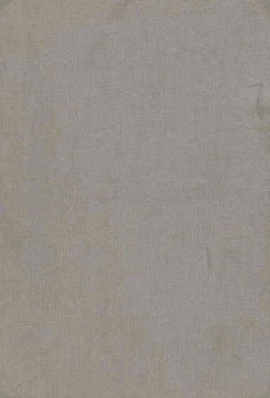 Det uskapte lyset av Solrunn Nes