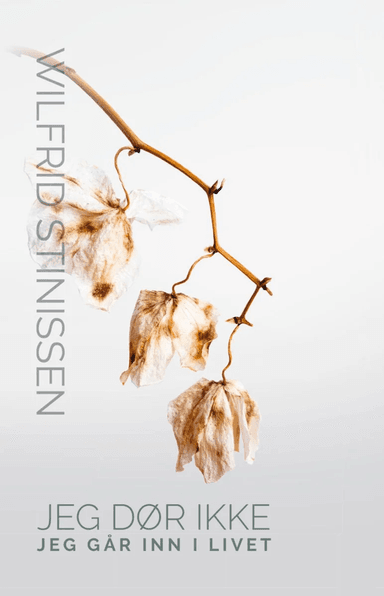 Jeg dør ikke, jeg går inn i livet av Wilfrid Stinissen