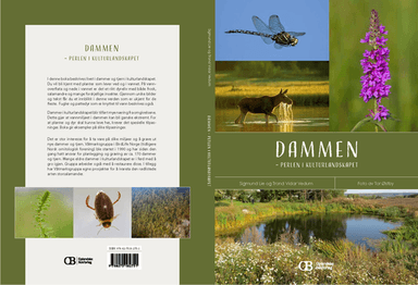 Dammen av Sigmund Lie, Trond Vidar Vedum