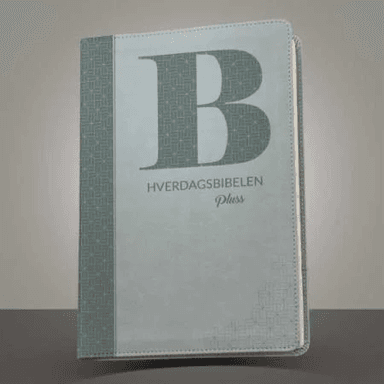 Hverdagsbibelen pluss