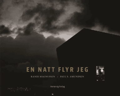 En natt flyr jeg av Randi Magnussen