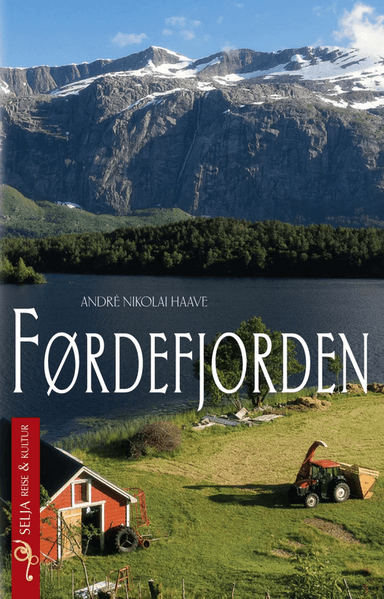 Førdefjorden av André Nikolai Haave