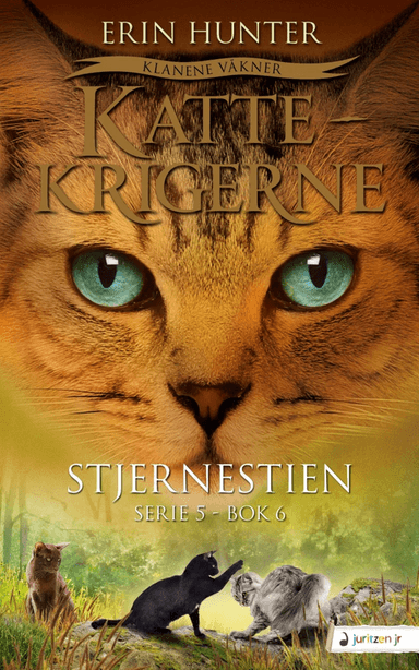 Stjernestien av Erin Hunter