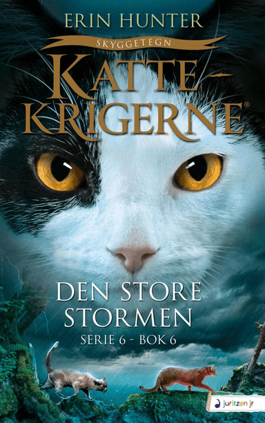 Den store stormen av Erin Hunter