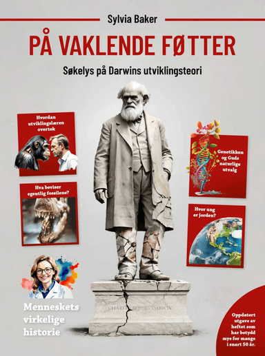 På vaklende føtter av Sylvia Baker