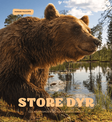 Store dyr av Ole Mathismoen