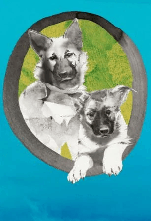 Klabb og Labb av Bjørg Jovall