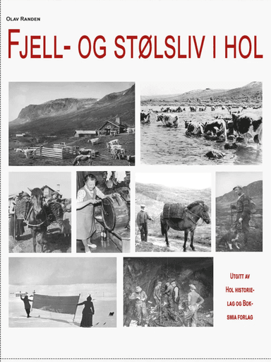 Fjell- og stølsliv i Hol av Olav Randen