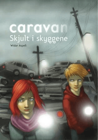 Skjult i skyggene av Widar Aspeli