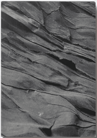 Ann Iren Buan av Ann Iren Buan, Line Ulekleiv